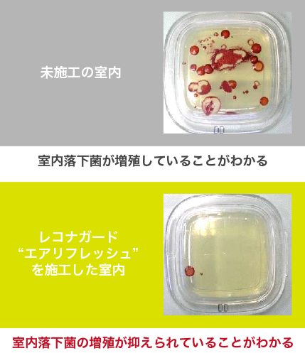 抗菌効果
