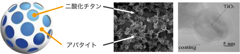 24時間効果を発揮する理由
