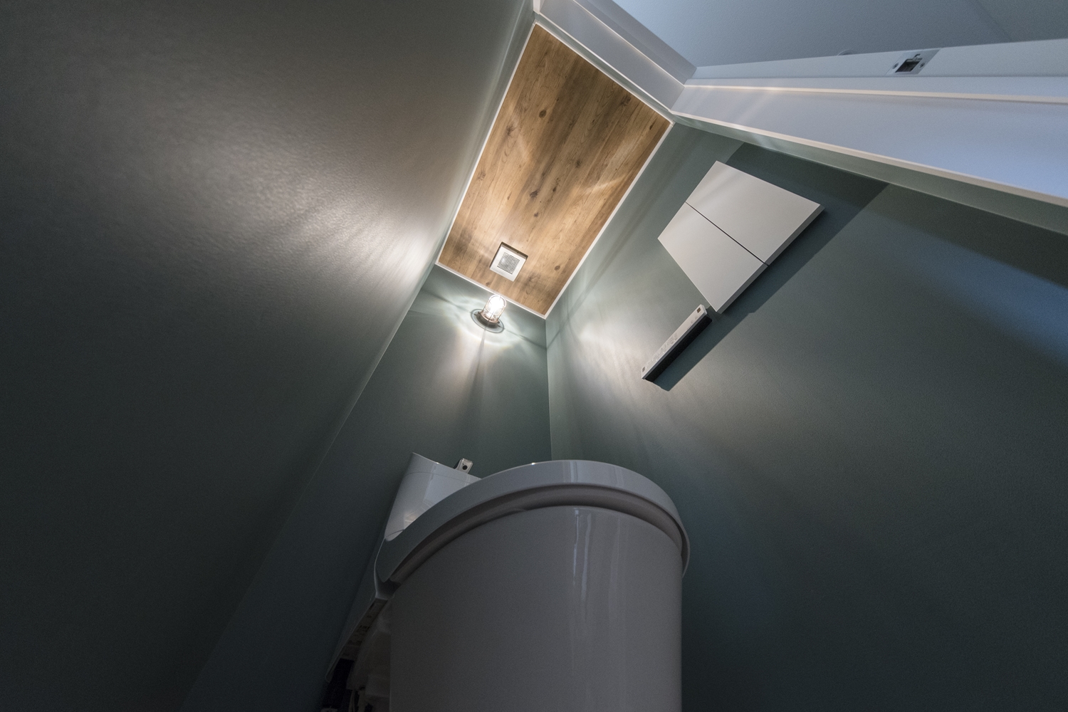 2階トイレ/モスグリーンの壁に木目模様の天井、インダストリアルデザインの照明が個性的な空間を演出。